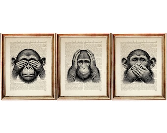 Conjunto de láminas artísticas de diccionario de los Tres Monos Sabios, "No ver, no oír, no hablar", decoración de pared con proverbios, póster de sabiduría