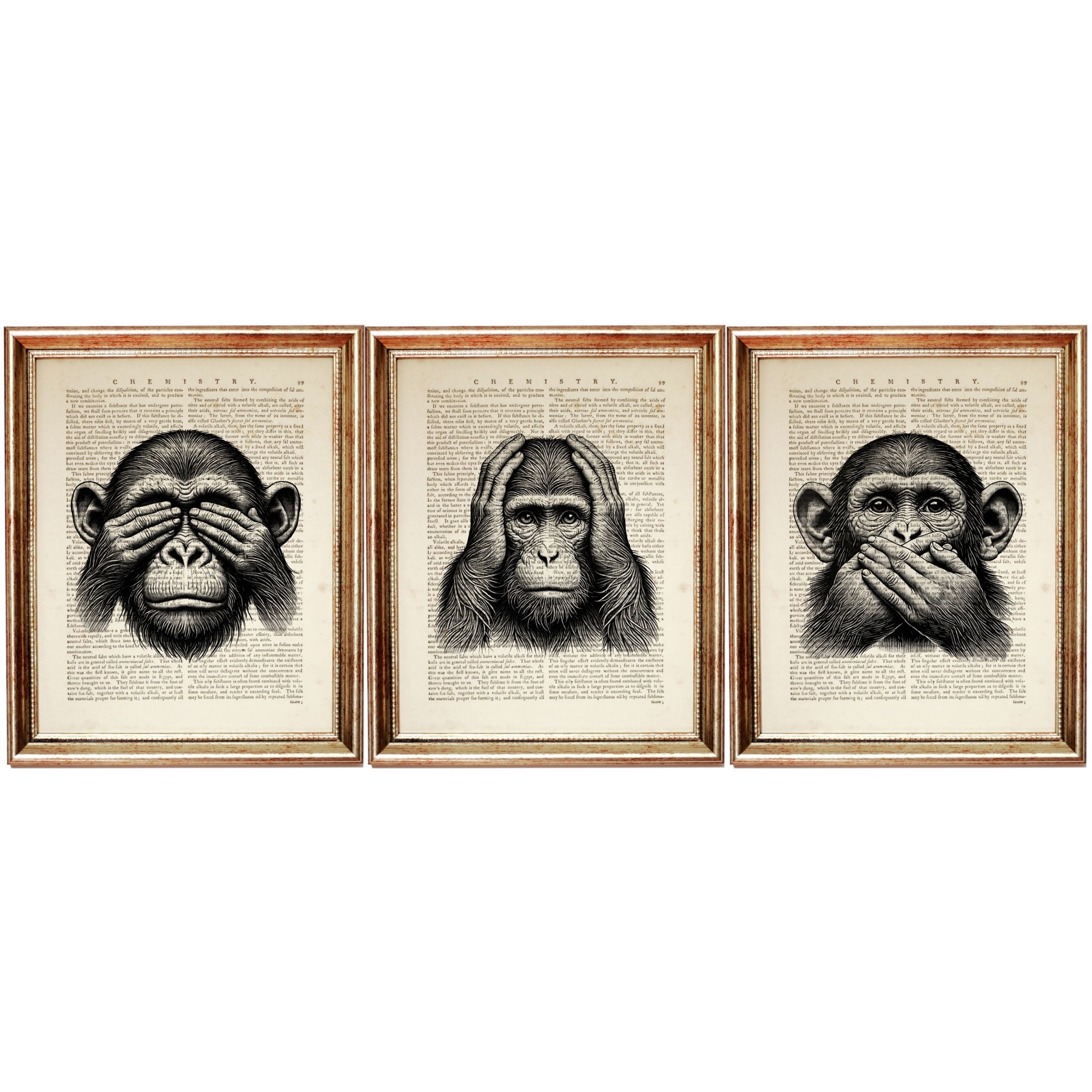 Christmas Gifts, Three Wise Monkeys Dictionary Art Print Set, See