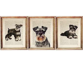 Set of 3 Wall Art, Miniature Schnauzer Wall Art Poster, Schnauzer Wall Decor, Dog Dictionary Art Print Set, Dog Nursery Art