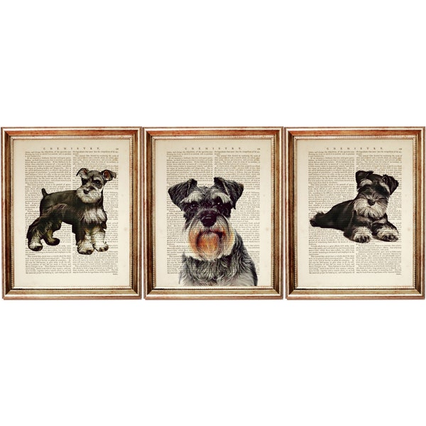 Lot de 3 oeuvres d'art murales, affiche d'art mural schnauzer nain, décoration murale schnauzer, ensemble d'impressions d'art dictionnaire chien, oeuvre d'art pour chambre de chien