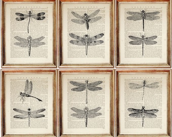 Set of 6 Prints, Dragonfly Dictionary Art Prints, Nature Wall Decor, Botanical Insect Wall Art Set, Dragonfly Artwork