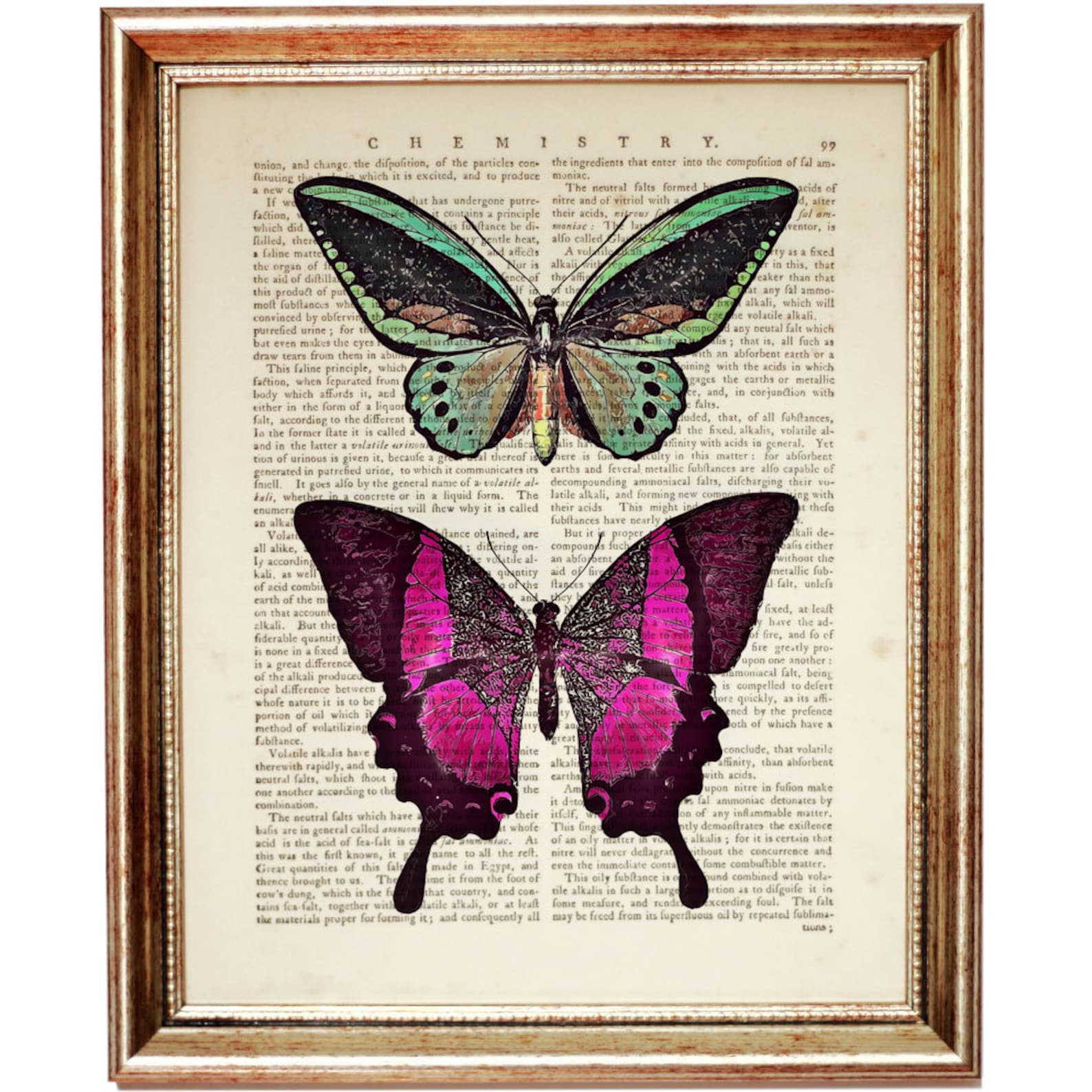 Set of 3 Prints Butterfly Print Wall Art Butterflies Etsy