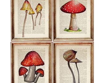Conjunto de 4 láminas de hongos, diccionario vintage de arte de hongos