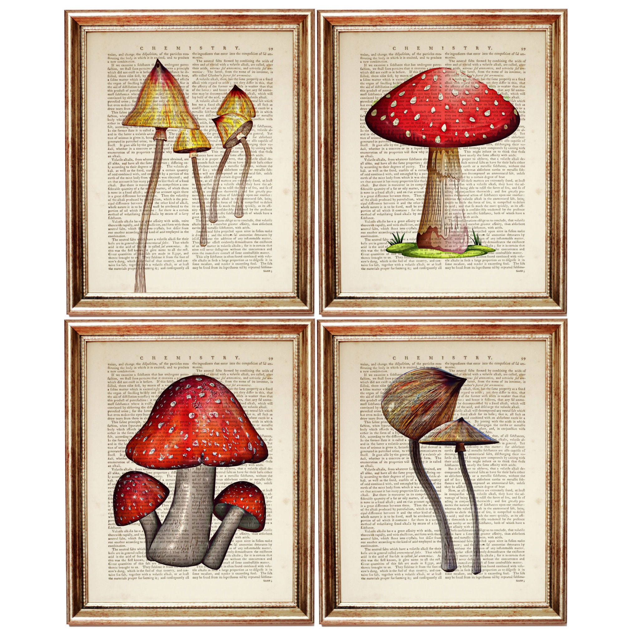 Mushroom Print Art Set of 4 Prints Mushroom Decor Vintage | Etsy