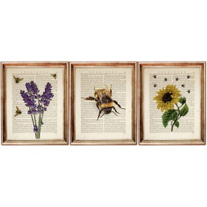 Set of 3 Prints, Sunflower Print Wall Art, Lavender Artwork, Bumble Bee Poster, Flower with Bee Dictionary Art Print