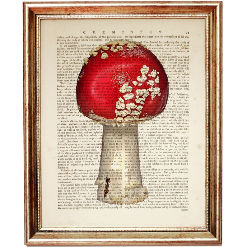 May include: A vintage illustration of a red and white mushroom with white spots on a page of an old book. The text on the page is about chemistry and the properties of different types of salts.