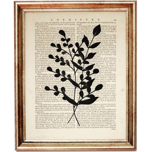 Op de afbeelding: Een ingelijst kunstwerk aan de muur met een zwart silhouet van een tak met bladeren, gedrukt op een pagina uit een vintage scheikundeboek. De pagina bevat de kop CHEMISTRY en paginanummer 99. De lijst is goudkleurig met een textuur.