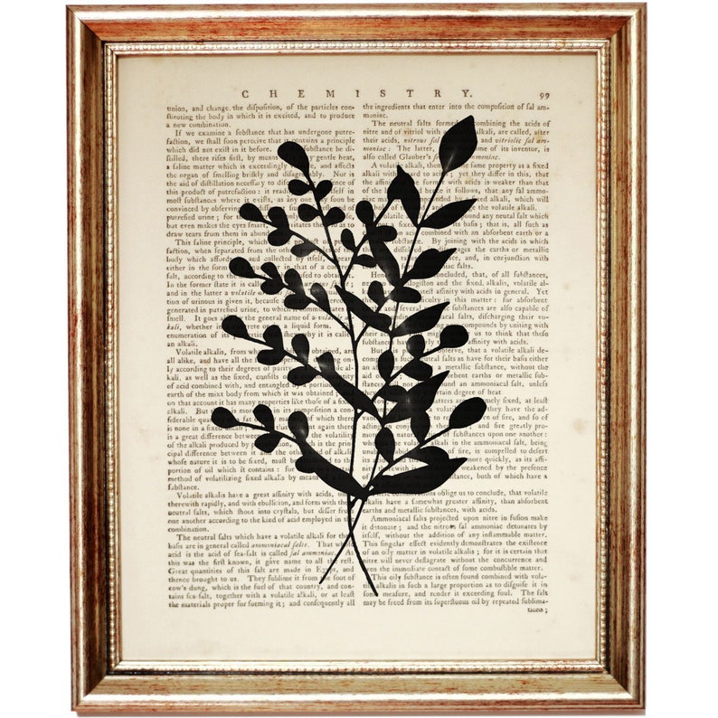 Op de afbeelding: Een ingelijst kunstwerk aan de muur met een zwart silhouet van een tak met bladeren, gedrukt op een pagina uit een vintage scheikundeboek. De pagina bevat de kop CHEMISTRY en paginanummer 99. De lijst is goudkleurig met een textuur.