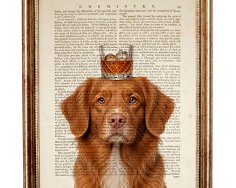 Stampa di un Duck Tolling Retriever, arte del cane Toller, ritratto di cane con bicchiere di whisky, stampa artistica da dizionario, regalo per amanti dei cani