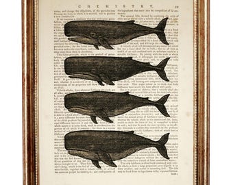 Whale Art Print, Nautical Vintage Dictionary Page, Coastal Wall Decor