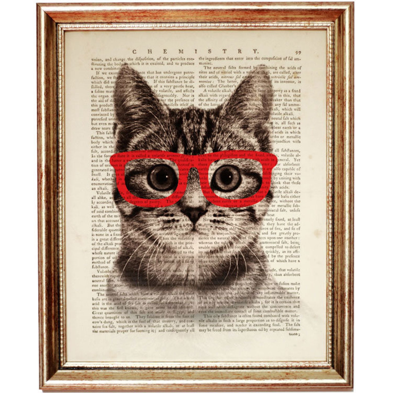 Set of 3 Art Prints Cat With Glasses Wall Art Cat Portrait Etsy UK
