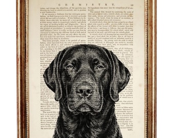 Chocolate Labrador Dictionary Print, Dog Book Page Art, Pet Lover Gift