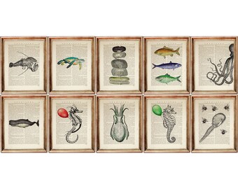 Set of 10 Sea Life Art Prints, Vintage Nautical Wall Decor, Marine Biology Dictionary Page Artwork, Ocean Life Poster