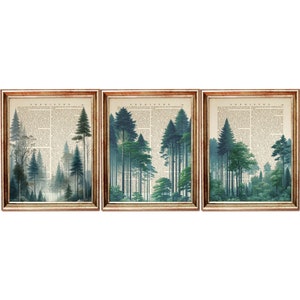 3er-Set Prints, Wald-Wörterbuch Art Prints, Blaugrünes Wald-Poster, Botanische Wandkunst, Vintage-Natur-Wanddekor