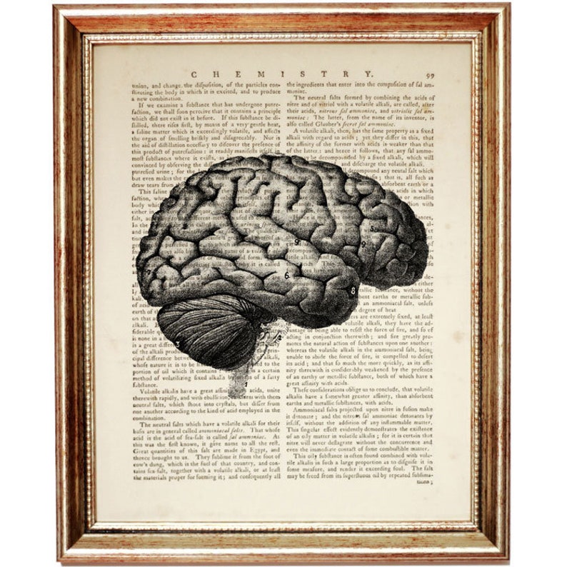 Anatomy Art Print Medical Brain Artwork Human Heart Art Brain Dictionary Art Print Human Skull Decor Set of 3 Prints