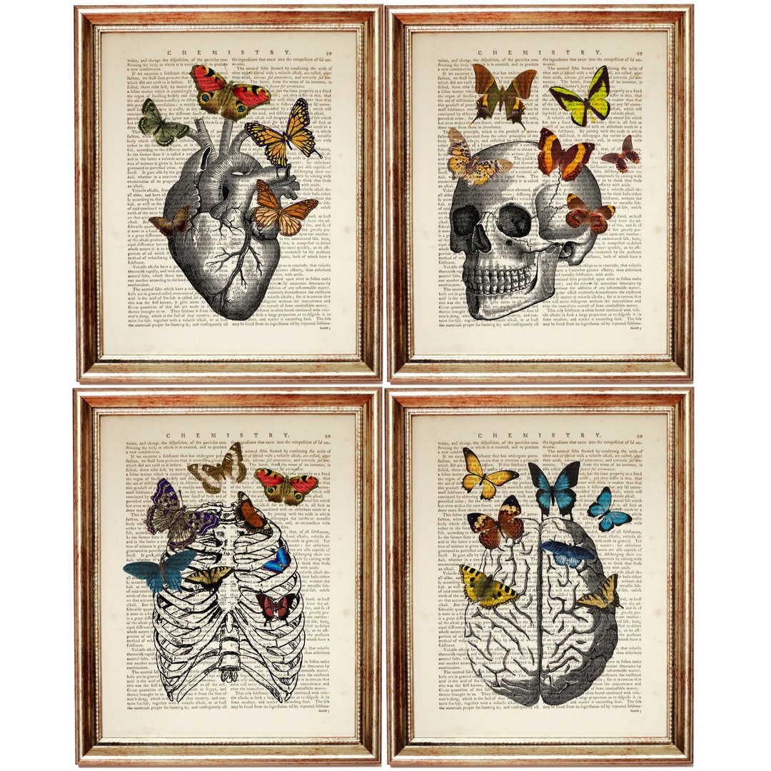 Set of 4 Prints Anatomy With Butterfly Wall Art Heat Wall - Etsy