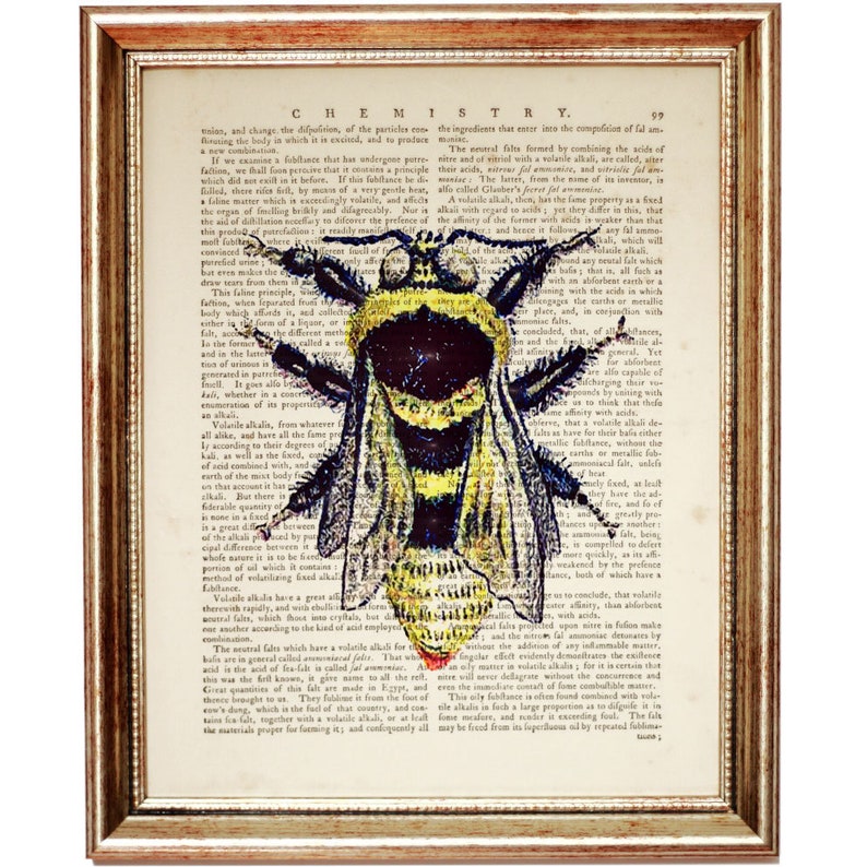 Gift for Beekeeping Enthusiasts - Artwork for Nature Lovers
