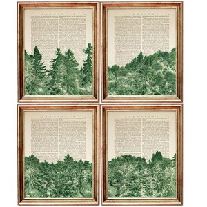 Puede incluir: Cuatro páginas de libro vintage con una ilustración de bosque verde impresa en cada página. El texto en las páginas es "QUÍMICA".