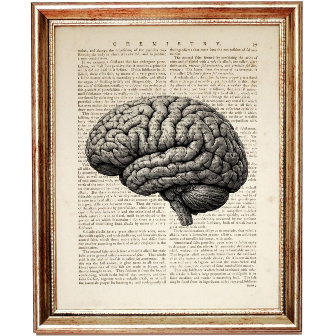 Human Brain Dictionary Art Print, Vintage Anatomy Illustration Wall Art ...