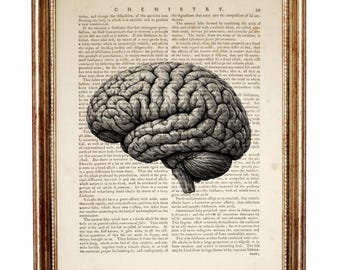 Human Brain Dictionary Art Print, Vintage Anatomy Illustration Wall Art, Medical Poster, Study Decor