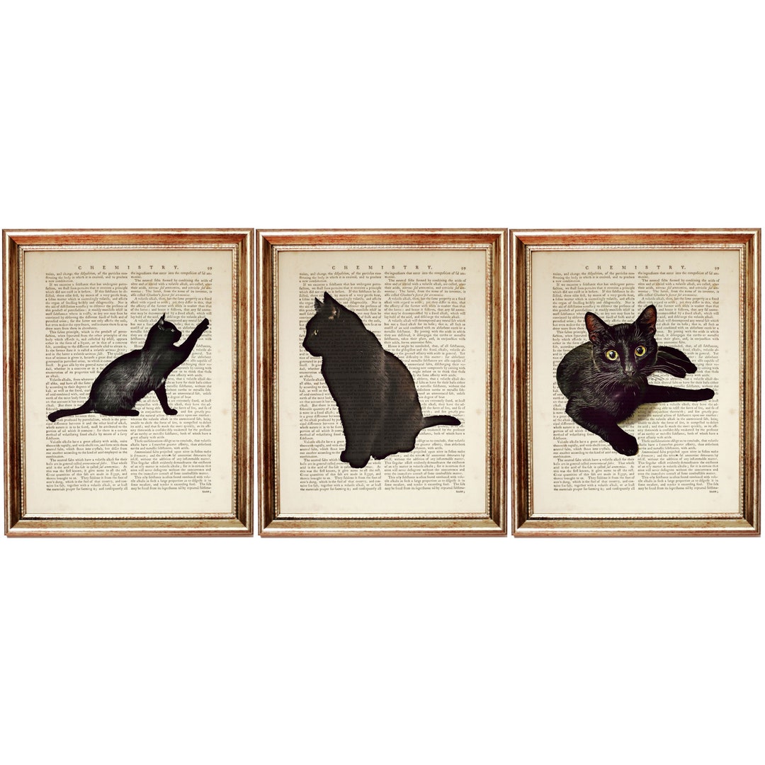 Set of 3 Prints, Black Cat Wall Art, Black Cat Poster, Cats Dictionary ...
