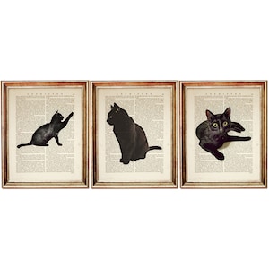 プリント 3 枚セット、黒猫のウォール アート、黒猫のポスター、猫辞典アート プリント、猫プリント ウォール アート、猫の保育園アートワーク