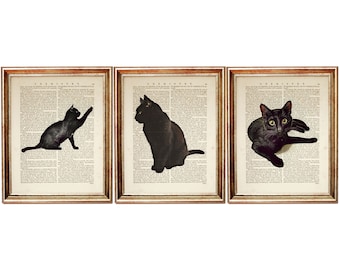 Set of 3 Prints, Black Cat Wall Art, Black Cat Poster, Cats Dictionary Art Print, Cat Print Wall Art, Cat Nursery Artwork