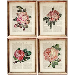 Juego de 4 impresiones, impresión artística de rosas, juego de 4 impresiones de rosas rosadas, juego de arte de pared botánico, decoración de pared de flores, impresión de obras de arte florales