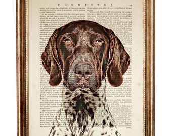 Cane da caccia tedesco a pelo corto, stampa d'arte del dizionario, regali GSP, arte GSP, cane GSP, cane da caccia tedesco a pelo corto