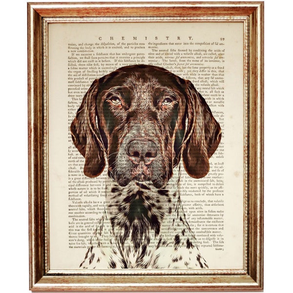 Deutsch Kurzhaar Hund Kunst, Wörterbuch Kunstdruck, APS Geschenke, APS Kunst, APS Hund, Deutsch Kurzhaar Hund