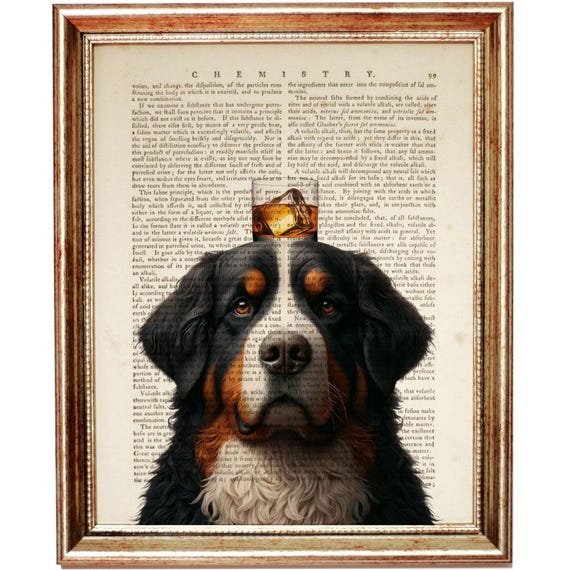 Targa in metallo vintage con scritta in lingua inglese Schnauzer Dog What I Do Drink Beer Know Things, targa vintage in latta per bar, club, grotta, casa, cucina, decorazione rustica, decorazione