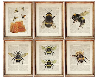 Set of 6 Prints, Bumble Bee Dictionary Art Print, Honey Bee Wall Decor, Bee Poster Book Page, Bumblebee Nursery Wall Hanging