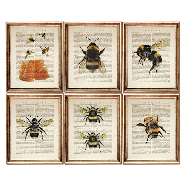 Set of 6 Bumble Bee Dictionary Art Print, Honey Bee Wall Decor, Bee Poster Book Page, Bee Nursery Wall Hanging, Bumblebee