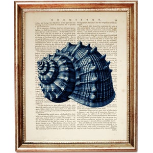Lámina artística de diccionario de conchas azules, decoración náutica de pared, regalo para amantes de la playa, arte de página de libro, póster costero, arte mural marítimo