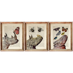 May include: Set of three framed prints featuring a rhinoceros with a butterfly, bee, and moth on each print. The prints are on a vintage book page background.