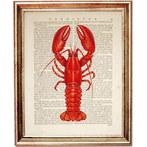 Lobster Art Print, Sea Life Antique Dictionary Page, Nautical Coastal Kitchen Wall Decor, Red Lobster Illustration Poster