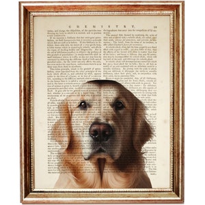 Golden Retriever Dog Art Print, Pet Illustration Dictionary Book Page, Unique Dog Lover Gift, Antique Animal Wall Decor