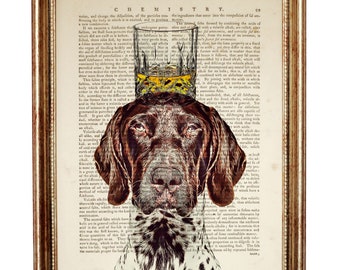 German Shorthaired Pointer Print, Dog with Whiskey Glass Dictionary Art