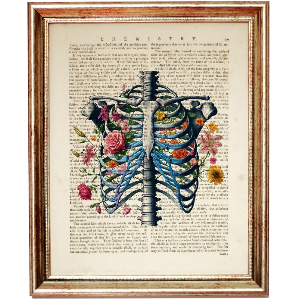Ribcage With Flowers Wall Decor, Anatomy Dictionary Book Page Art 8x10 ...