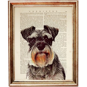 Dog Nursery Wall Art, Miniature Schnauzer Dictionary Art Print, Animal Poster, Dog Portrait Wall Hanging