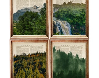 Set di 4 stampe artistiche della foresta, poster vintage del dizionario della cascata