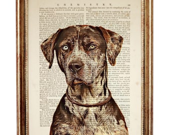 Catahoula Leopard Dog Wall Art, Pet Portrait Poster, Dog Artwork, Charming Dog Portrait Wall Hanging, Dog Nursery Decor