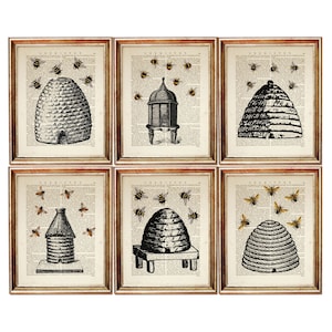 Set di 6 stampe artistiche, stampa artistica dell'alveare, stampa murale dell'alveare con api, stampa artistica del dizionario dell'alveare, poster dell'apicoltore