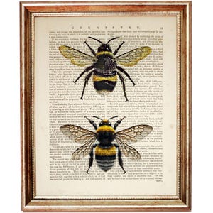 May include: Framed print featuring two detailed bee illustrations over a vintage book page. The bees are black and yellow, with delicate wing details. The frame is a warm gold color, adding to the antique aesthetic. The word "CHEMISTRY" is visible at the top.