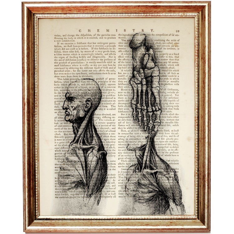 Set of 6 Da Vinci Anatomy Print Set, Anatomical Vintage Dictionary Art ...