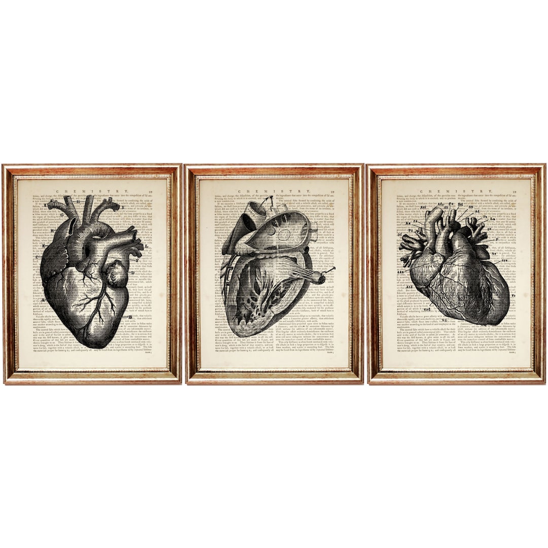 Set of 3 Anatomical Heart Prints, Vintage Dictionary Pages, Medical Art ...
