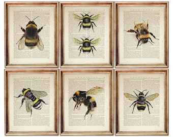 Set of 6 Bumblebee Prints, Bee Vintage Dictionary Art, Nature Decor