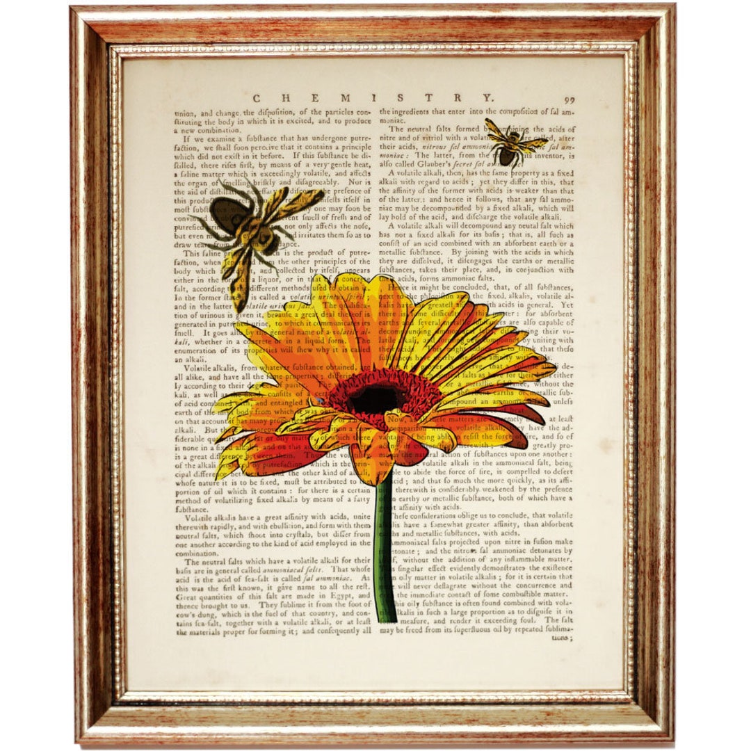 Gerbera With Bees Art Print, Flower Artwork, Botanical Dictionary Book ...