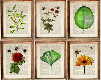 May include: A set of six framed prints featuring botanical illustrations of flowers and leaves overlaid on vintage chemistry textbook pages. Each print displays detailed drawings of plants and bees, including a rose, ginkgo leaf, and yellow flowers.