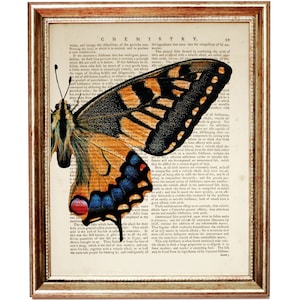 Butterfly Dictionary Art Print, Butterfly Wings Artwork, Butterfly Wall Decor Poster, Butterfly Wall Hanging